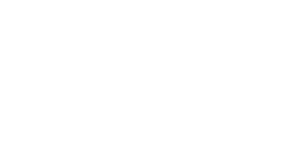 THE LAZY ARTIST